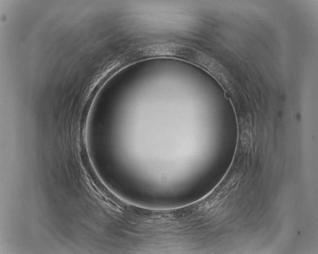 X0000064750386200602101218