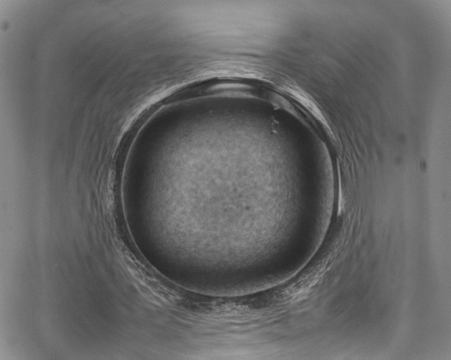 X0000064750387200602101218