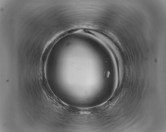 X0000064750388200602101218