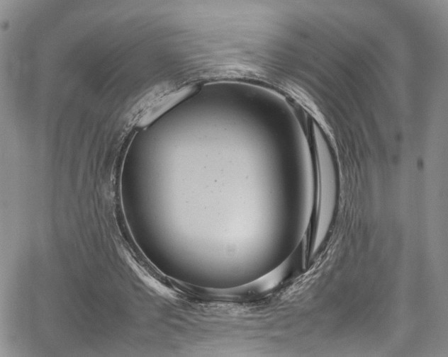 X0000064750389200602101218