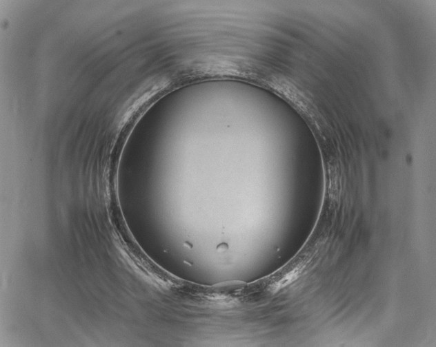 X0000064750390200602101218