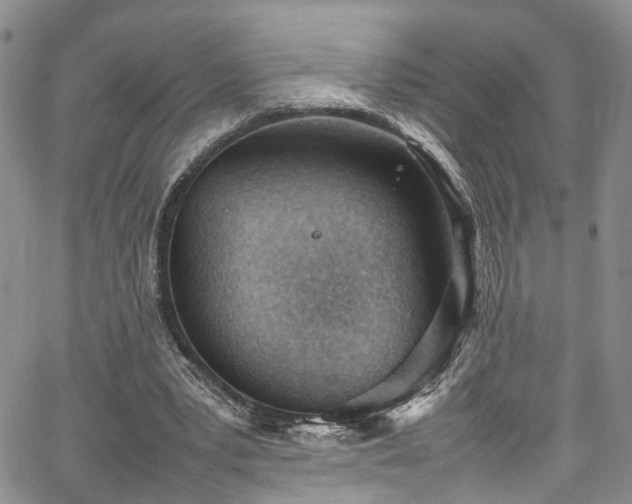 X0000064750391200602101218