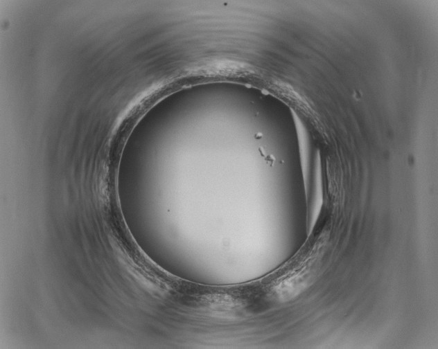 X0000064750392200602101218