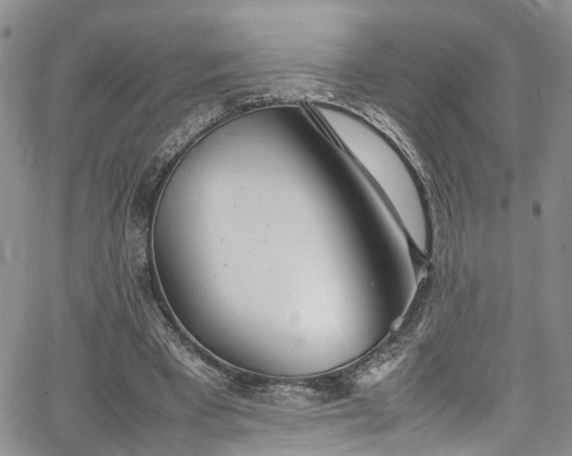 X0000064750393200602101218