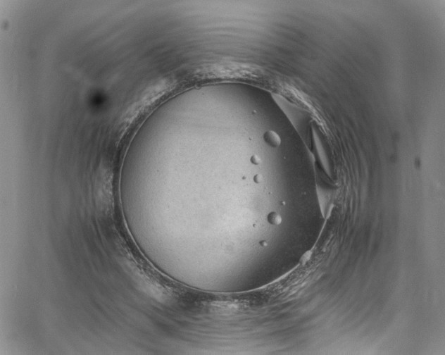 X0000064750394200602101218