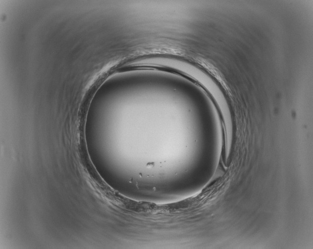 X0000064750395200602101218