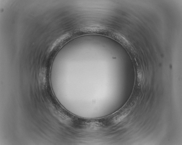 X0000064750396200602101218