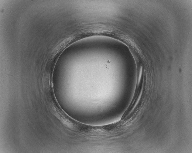 X0000064750397200602101218