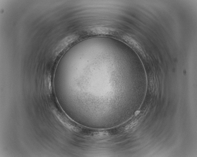 X0000064750398200602101218