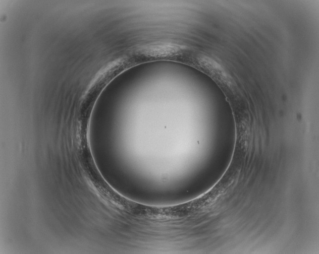 X0000064750400200602101218