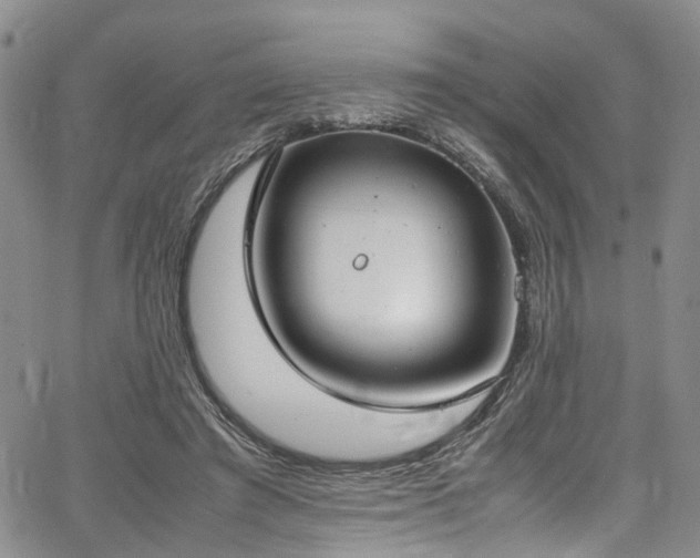 X0000064750401200602101218