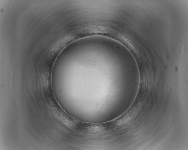 X0000064750402200602101218