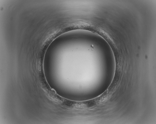 X0000064750403200602101218