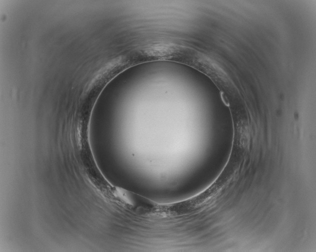 X0000064750404200602101218