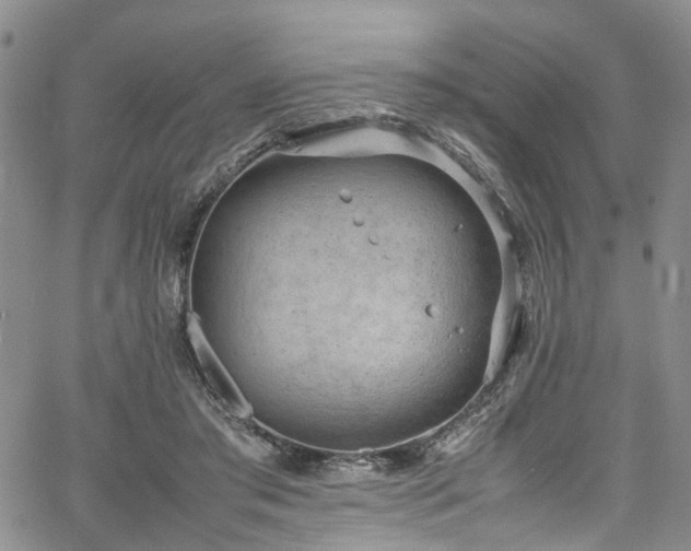 X0000064750405200602101218