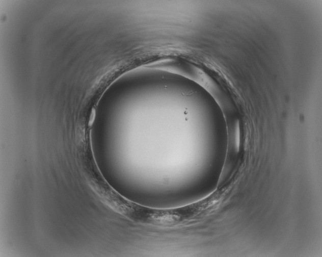 X0000064750407200602101218