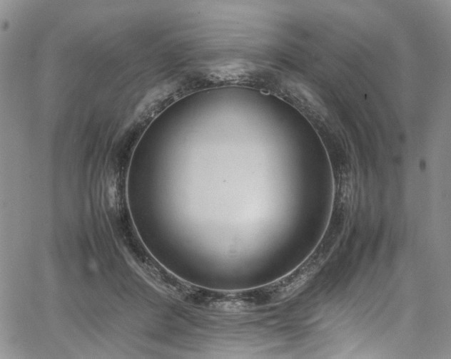 X0000064750408200602101218