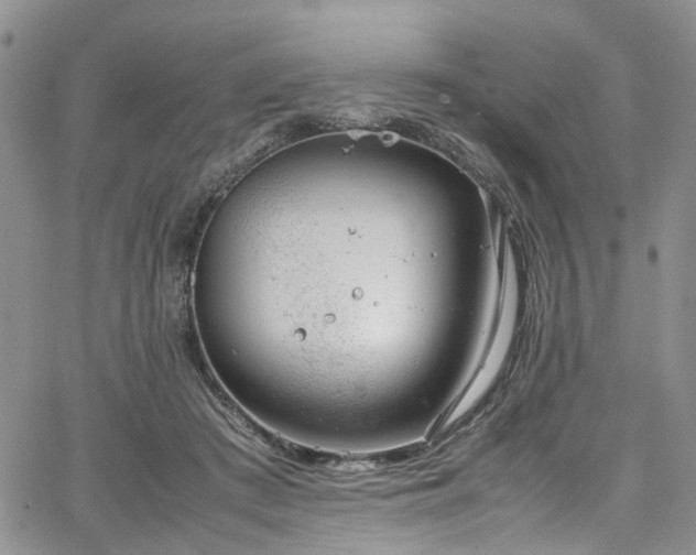 X0000064750409200602101218