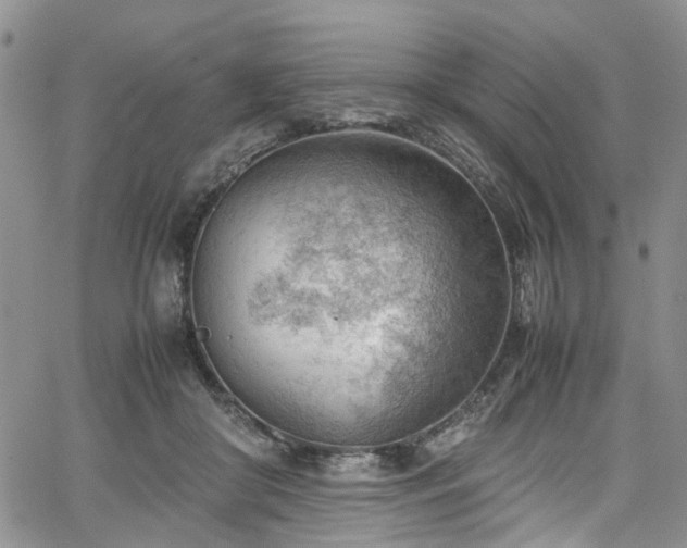 X0000064750410200602101218