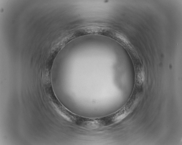 X0000064750411200602101218