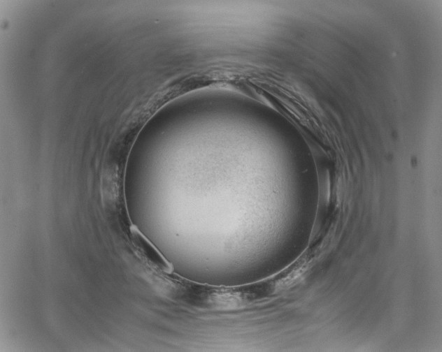 X0000064750413200602101218