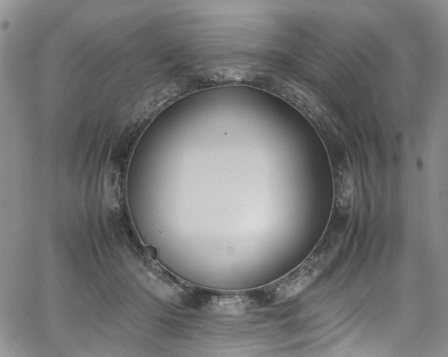 X0000064750414200602101218