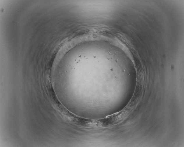 X0000064750415200602101218