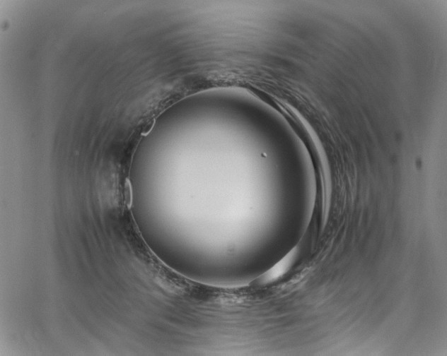 X0000064750416200602101218