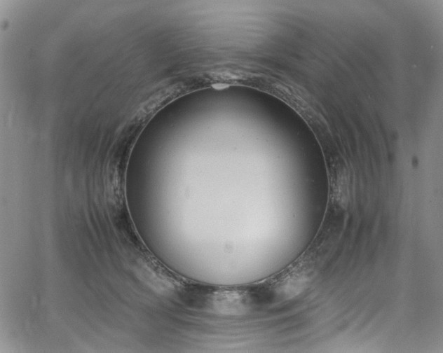 X0000064750418200602101218