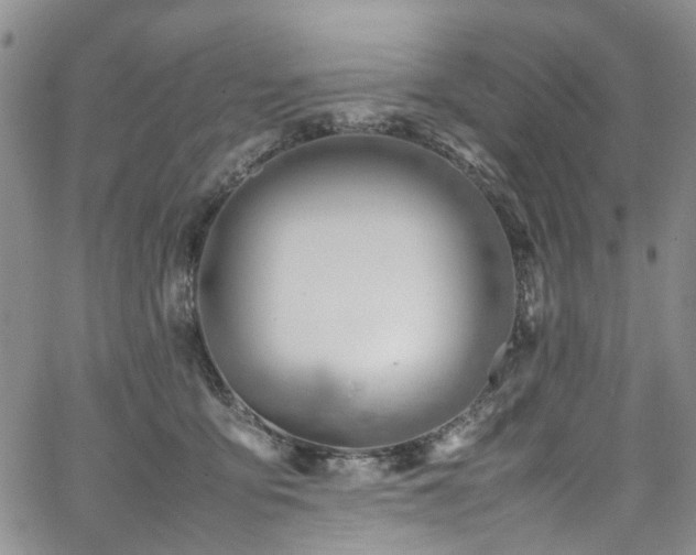 X0000064750419200602101218