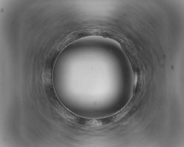 X0000064750421200602101218