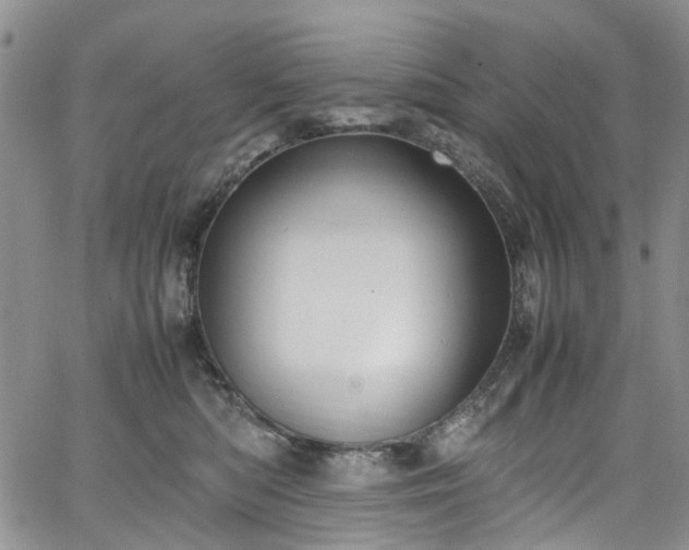 X0000064750422200602101217