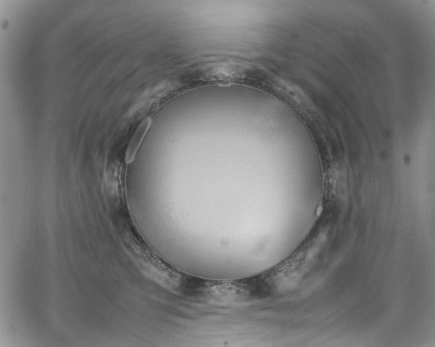 X0000064750423200602101217