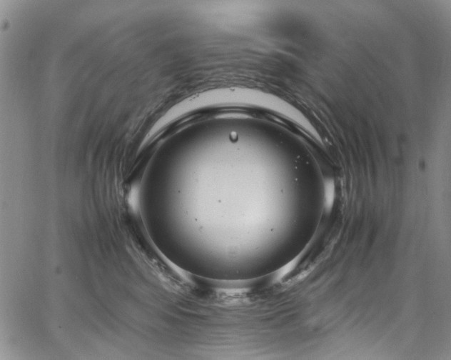 X0000064750424200602101217