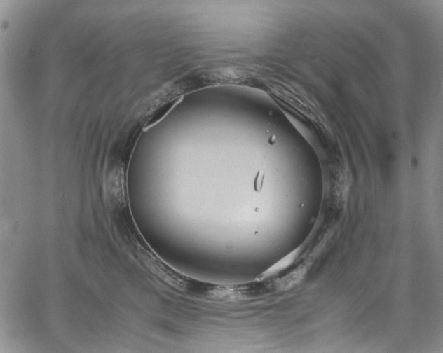 X0000064750425200602101217