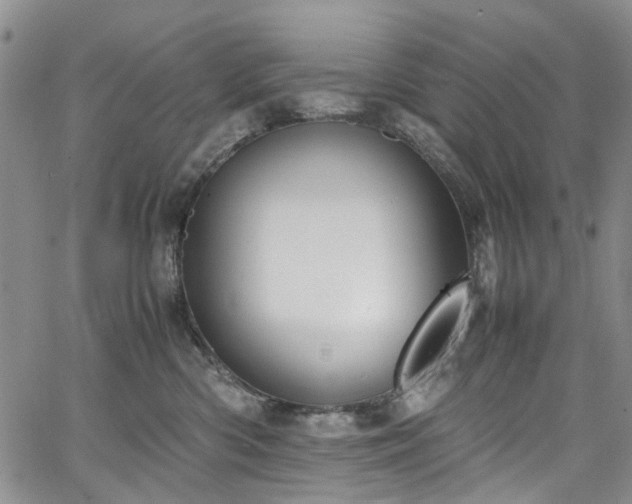 X0000064750426200602101217