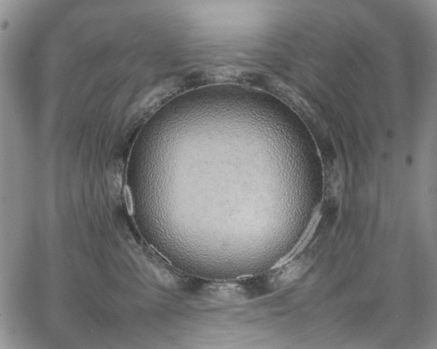 X0000064750427200602101217