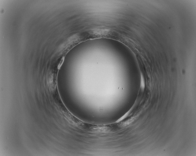 X0000064750428200602101217