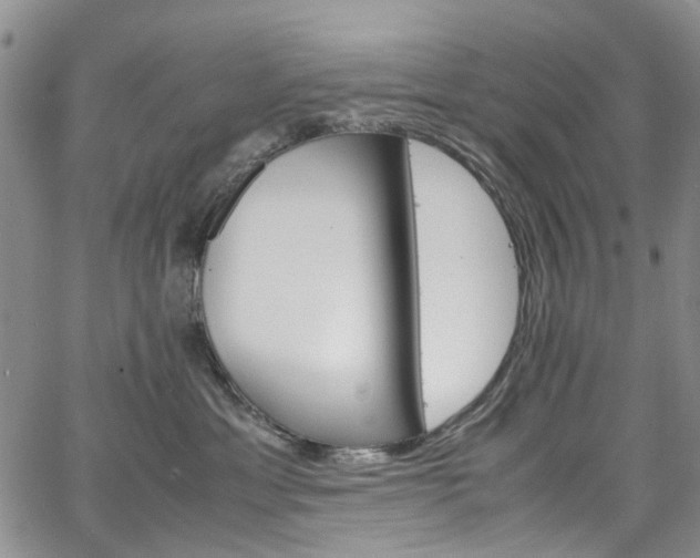 X0000064750429200602101217