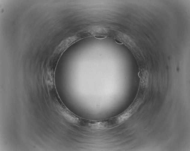 X0000064750430200602101217