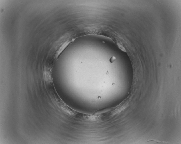 X0000064750432200602101217