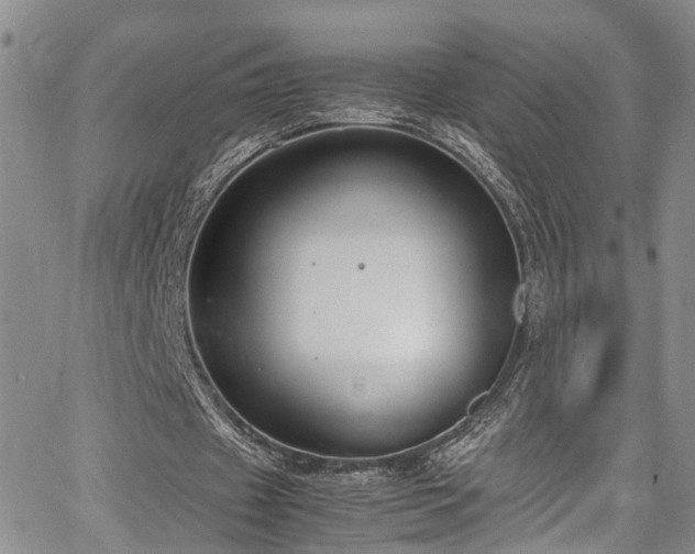 X0000064750433200602101217