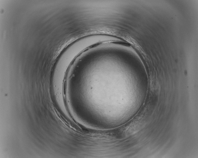 X0000064750434200602101217