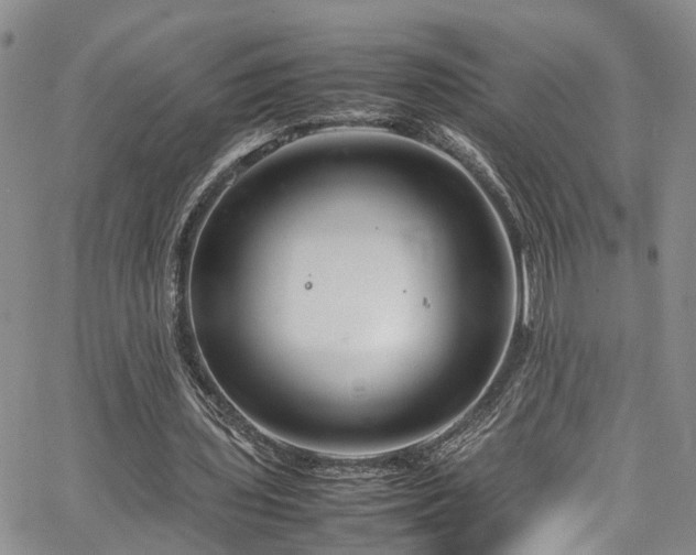 X0000064750435200602101217