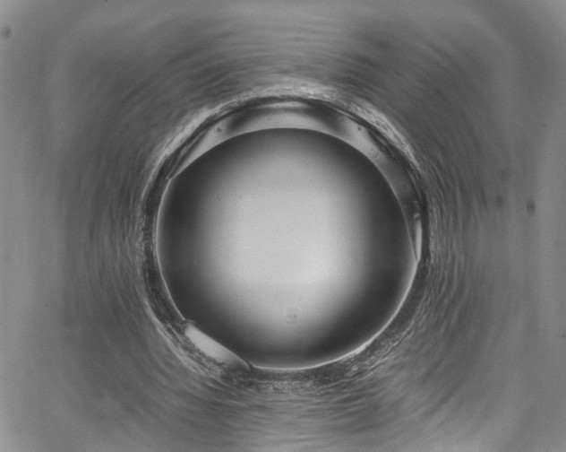 X0000064750436200602101217