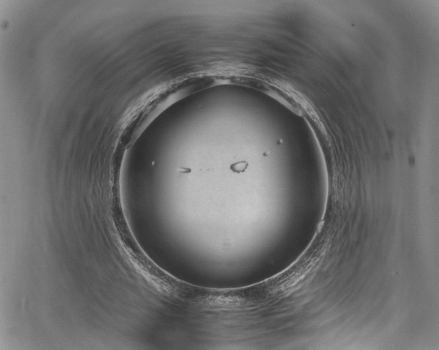 X0000064750437200602101217