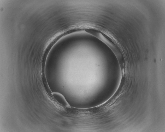 X0000064750438200602101217