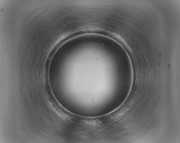 X0000064750439200602101217