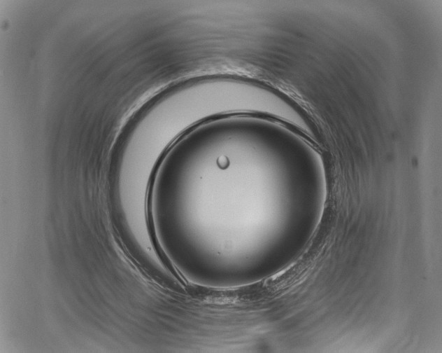 X0000064750440200602101217