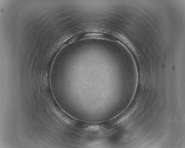 X0000064750441200602101217